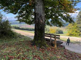 20251001130026ad_Trauchgauer Höhenweg_Rundweg