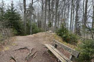 202504151131029ad_Alpe-Bleichelstein