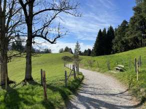 20250415154237ad_Alpe-Beichelstein