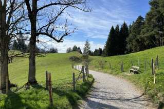 20250415154237ad_Alpe-Bleichelstein