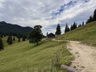 BärenMoosAlpe_Pfronten_02