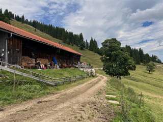 BärenMoosAlpe_Pfronten_12