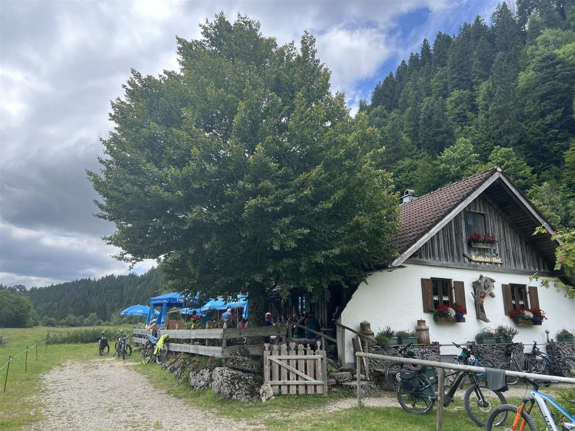 Kalbelehof-Alpe_10