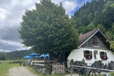 Kalbelehof-Alpe_10