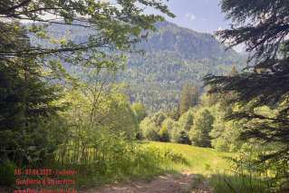 DinserHütte_Pfronten_14