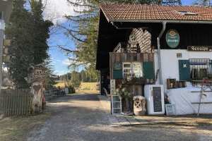 SeeAlpe-Elbsee_04