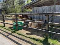 20260427140832ad_RadTour Pfronten-SchlossbergAlm