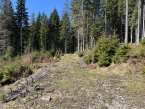 20260424112210ad_RadTour-um-den-Trauchberg