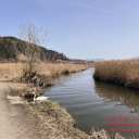 RadTour 5-SeenRunde 45km