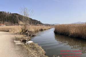 20260306114302ad_5-SeenRundTour