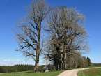 20260417112639ad_RadTour_Wildsteig-Schongau_72km