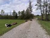 20261011114302ad_RadTour_Wies-Lechbruck-LusseVia_48km
