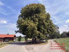 20260816140634ad_RadTour_Wieskirche-Gasthaus Iller-Ostern_34km
