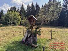 20260816141312ad_RadTour_Wieskirche-Gasthaus Iller-Ostern_34km