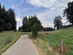 20260816165730ad_RadTour_Wieskirche-Gasthaus Iller-Ostern_34km