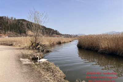 20260306114302ad_5-SeenRundTour