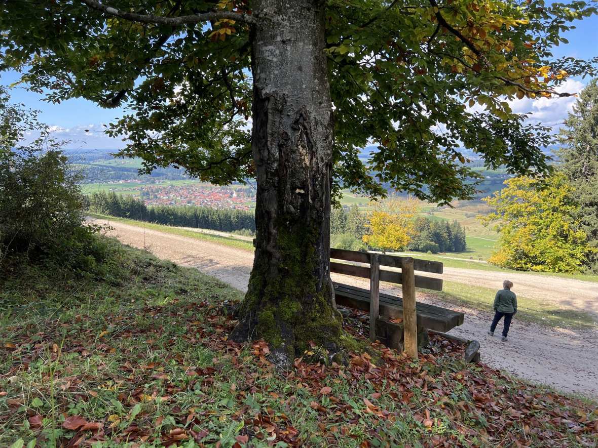 20251001130026ad_Trauchgauer Höhenweg_Rundweg