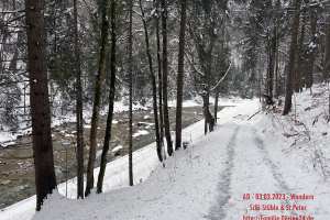 20230303133249ad_Wandern-SchiStüble-St.Peter