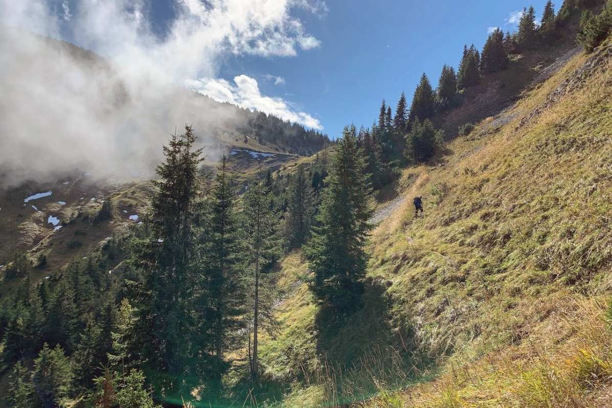 F11014_HLT_GrubenKopf