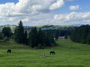 Almstube-Trauchgau_12