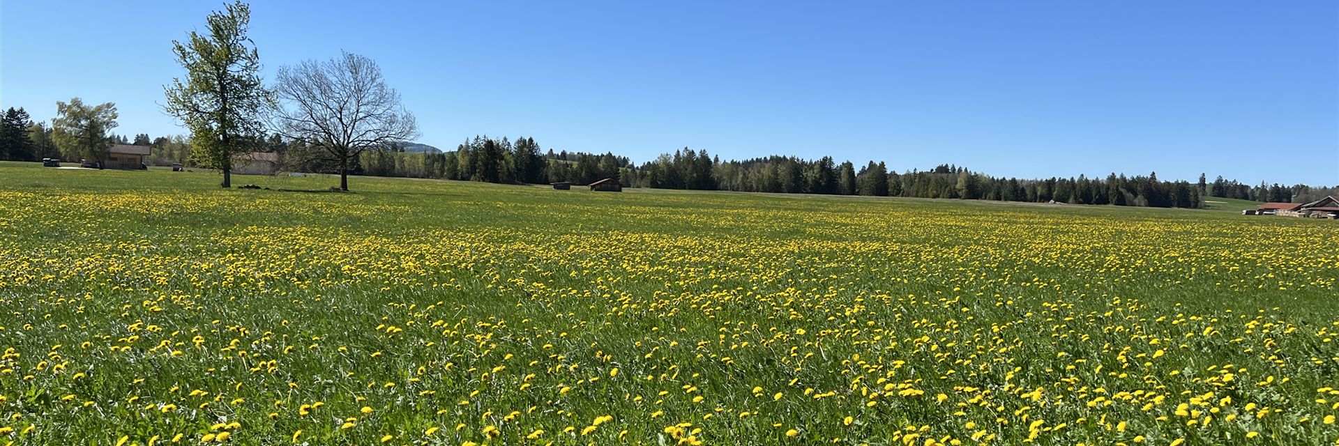 S90614_Start-Frühling